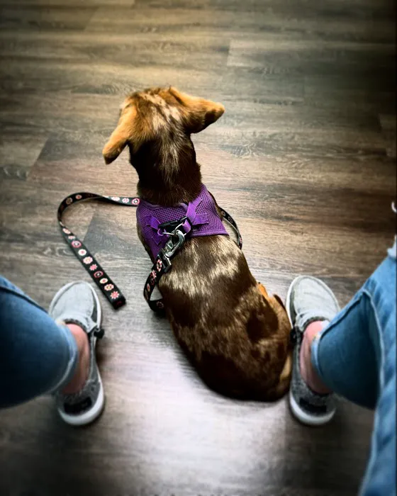 CityVet | Kallison Ranch Picture 7