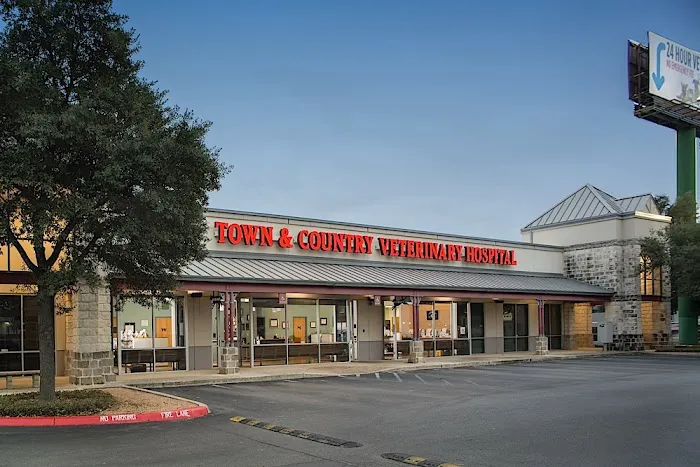 Town & Country Veterinary Hospital Picture 2