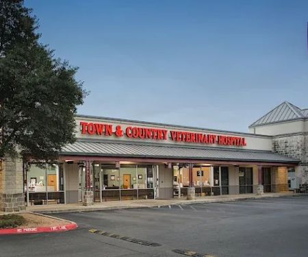 Town & Country Veterinary Hospital