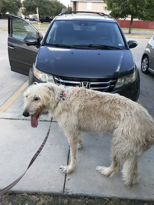 Town & Country Veterinary Hospital Picture 7