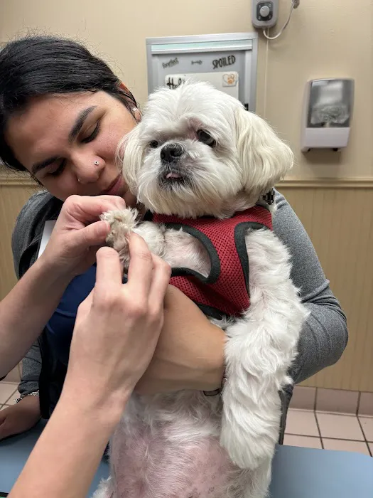 Babcock Hills Veterinary Hospital Picture 5