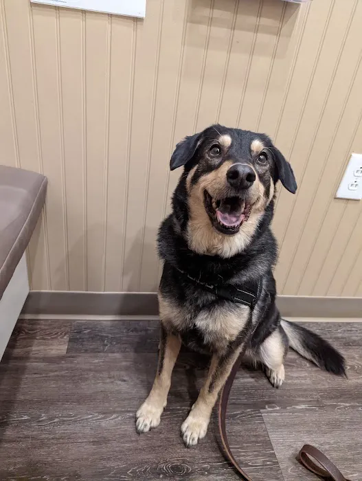 Babcock Hills Veterinary Hospital Picture 6