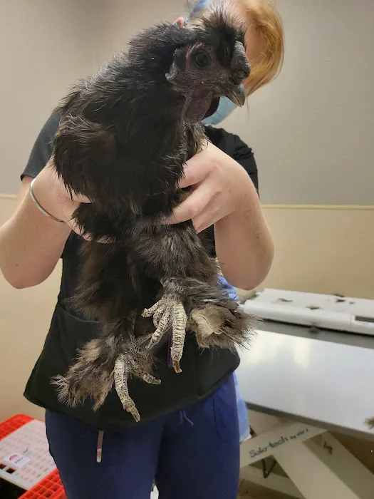 Ten West Bird & Animal Hospital Picture 1