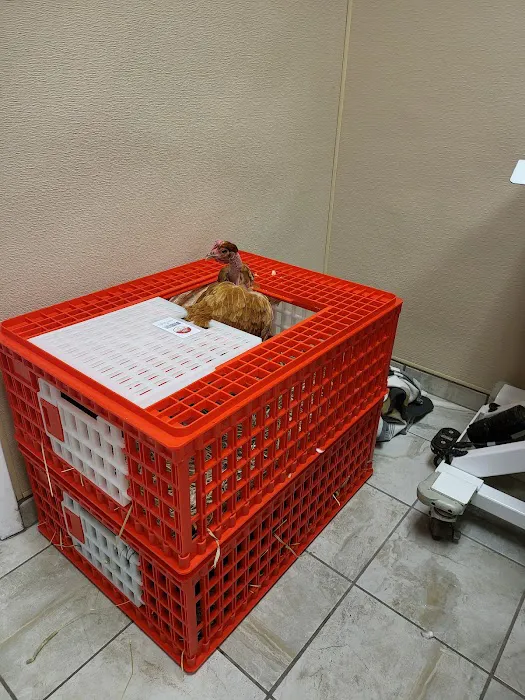 Ten West Bird & Animal Hospital Picture 5