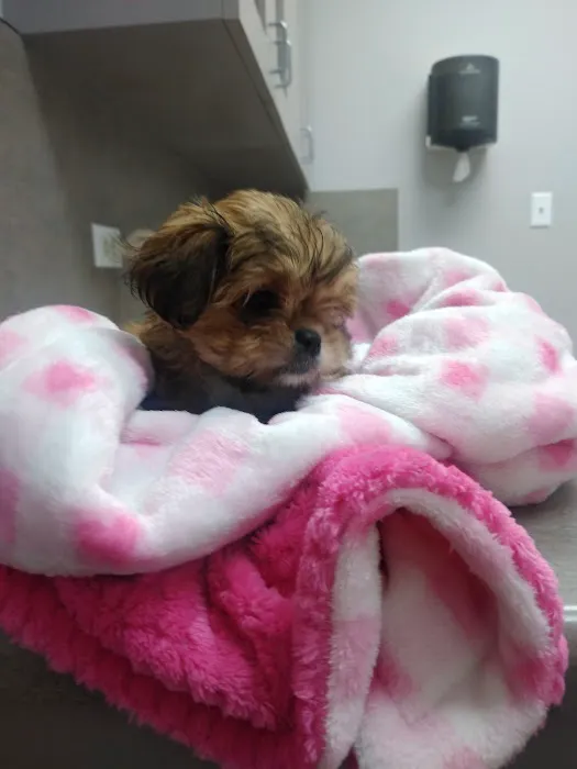 Ten West Bird & Animal Hospital Picture 7