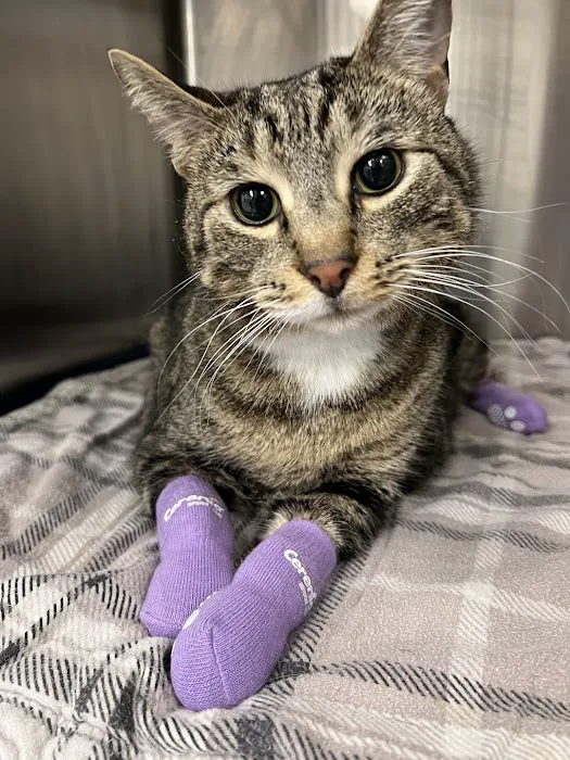 MPC Veterinary Care Picture 1