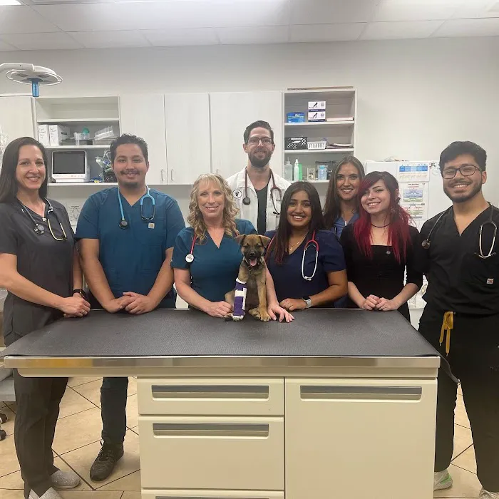 MPC Veterinary Care Picture 3