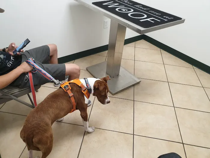 MPC Veterinary Care Picture 7