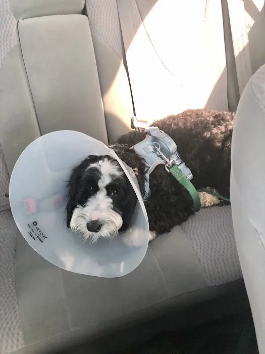 Vetco Total Care Animal Hospital Picture 6