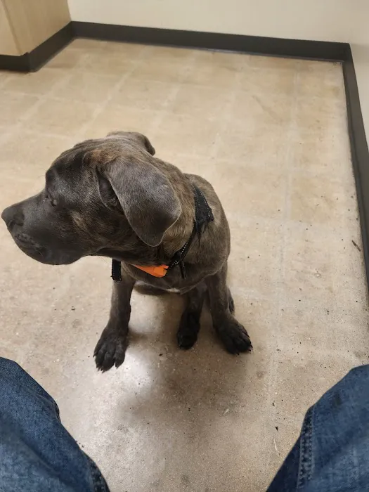 Vetco Total Care Animal Hospital Picture 8