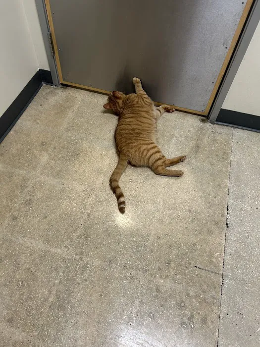 Vetco Total Care Animal Hospital Picture 9