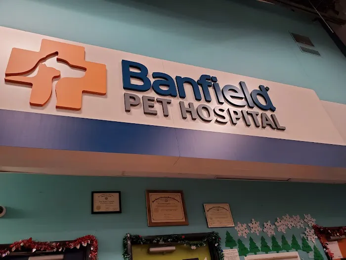 Banfield Pet Hospital Picture 1
