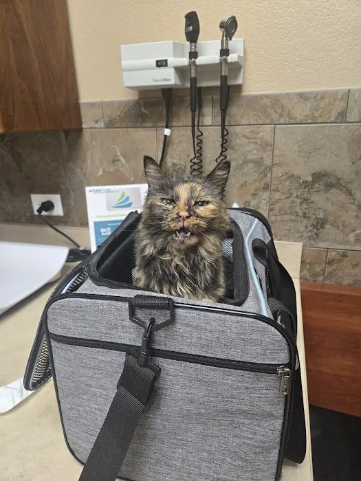 DeZavala-Shavano Veterinary Clinic Picture 9