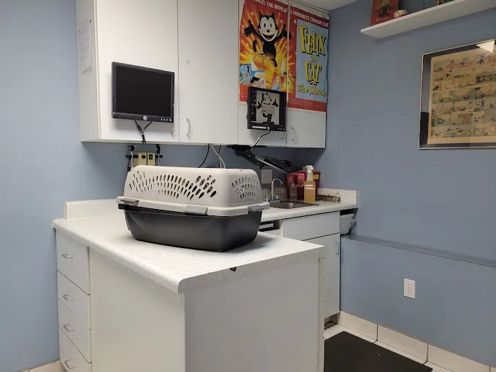 Alamo Feline Health Center Picture 10