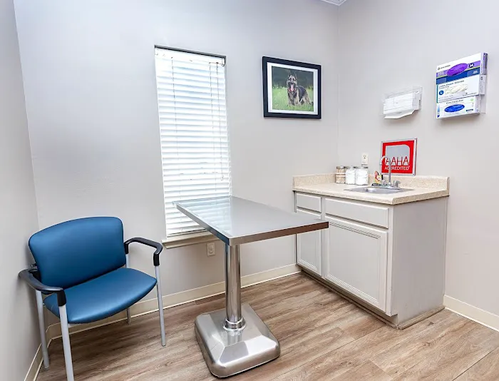 VCA Henderson Pass Animal Hospital Picture 2