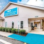 VCA Henderson Pass Animal Hospital