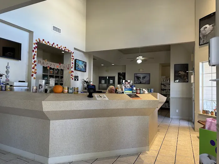 VCA Henderson Pass Animal Hospital Picture 7