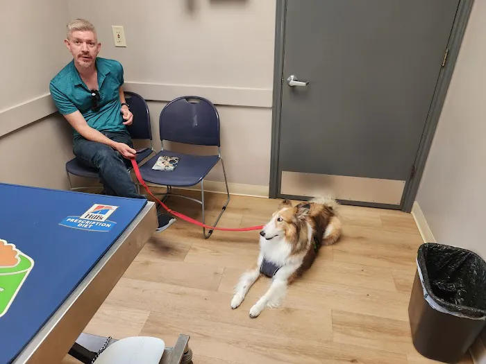 VCA Henderson Pass Animal Hospital Picture 9