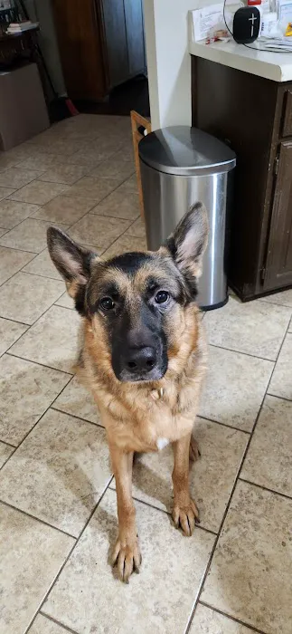 Penny Paws Animal Hospital - San Antonio Picture 7