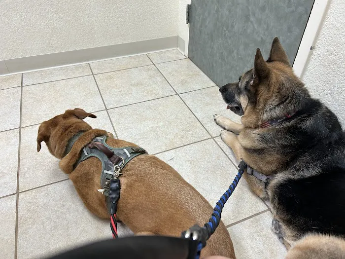 Lytle Veterinary Clinic Picture 5