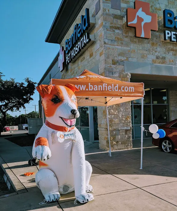 Banfield Pet Hospital Picture 4