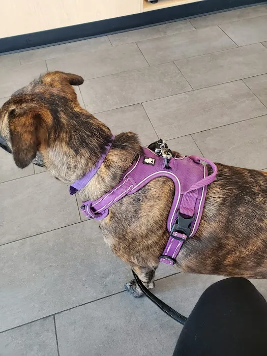 Banfield Pet Hospital Picture 5