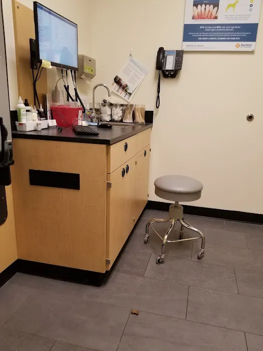 Banfield Pet Hospital Picture 8
