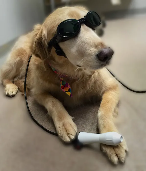 Stone Oak Veterinary Clinic Picture 5