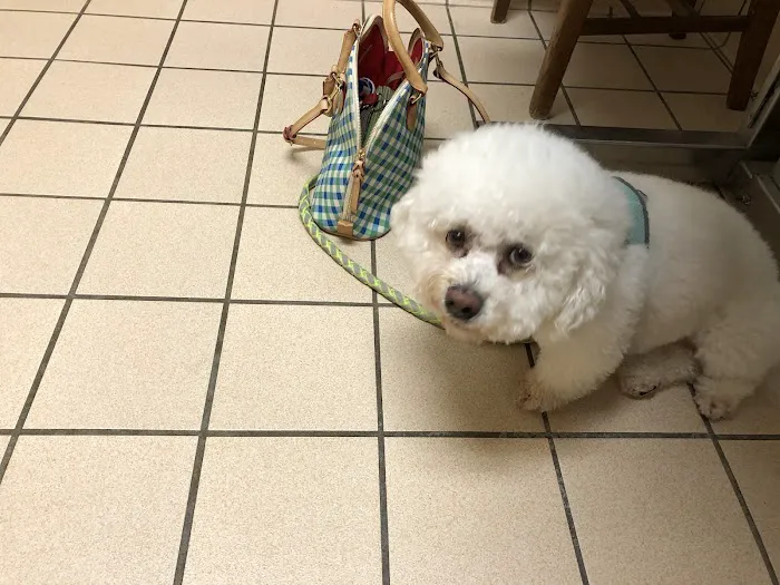 Stone Oak Veterinary Clinic Picture 1