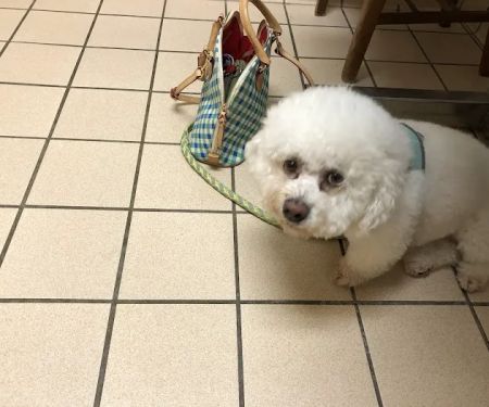Stone Oak Veterinary Clinic