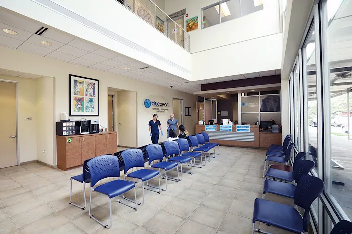 BluePearl Pet Hospital Picture 3