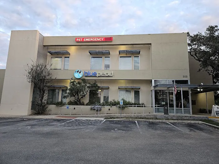 BluePearl Pet Hospital Picture 4