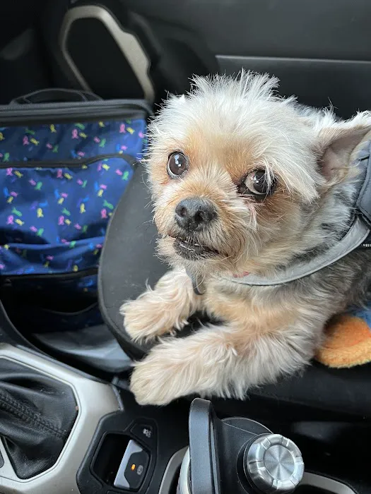 BluePearl Pet Hospital Picture 6