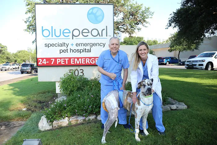 BluePearl Pet Hospital Picture 5