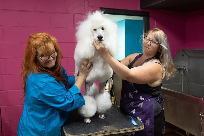 Nora Veterinary Hospital Picture 4