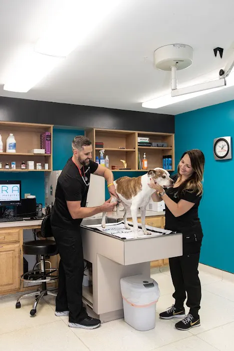 Nora Veterinary Hospital Picture 5