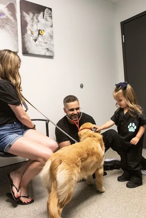 Nora Veterinary Hospital Picture 8