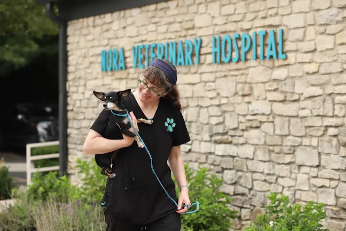 Nora Veterinary Hospital Picture 9