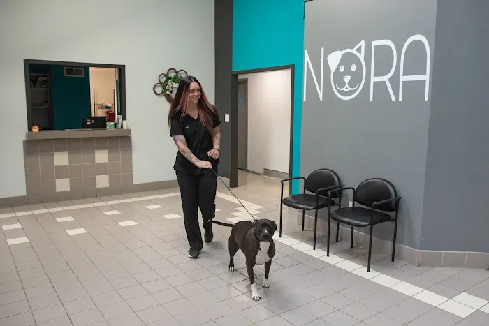 Nora Veterinary Hospital Picture 7