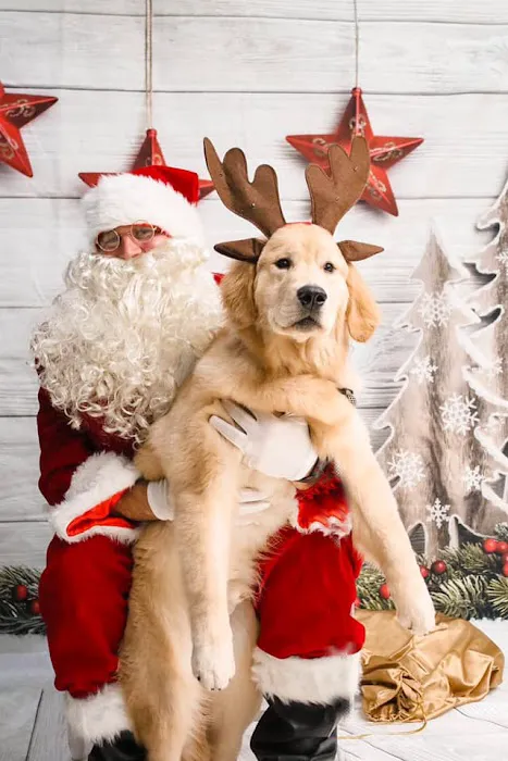 Nora Veterinary Hospital Picture 10