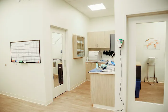 Paw & Purr Surgical and Dental Care Picture 2