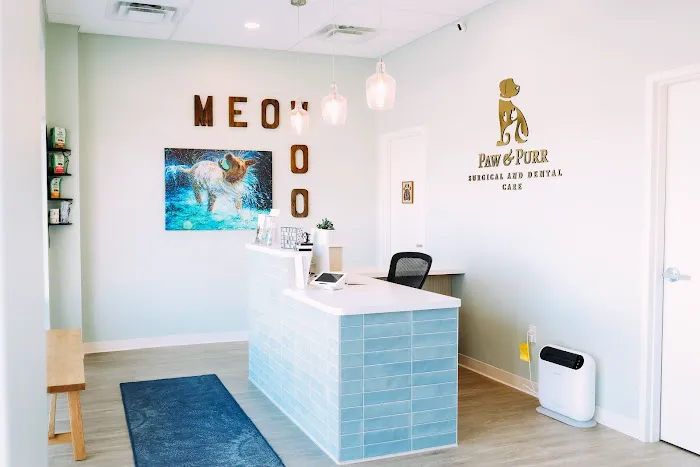 Paw & Purr Surgical and Dental Care Picture 4