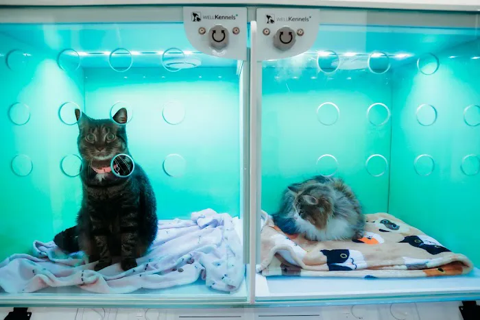 Paw & Purr Surgical and Dental Care Picture 5