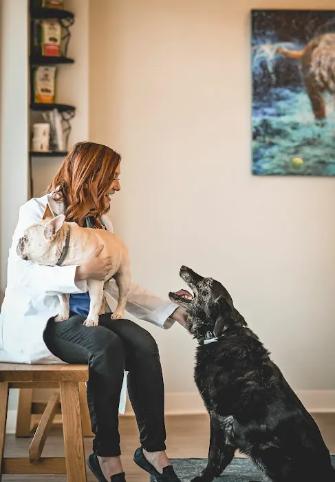 Paw & Purr Surgical and Dental Care Picture 7