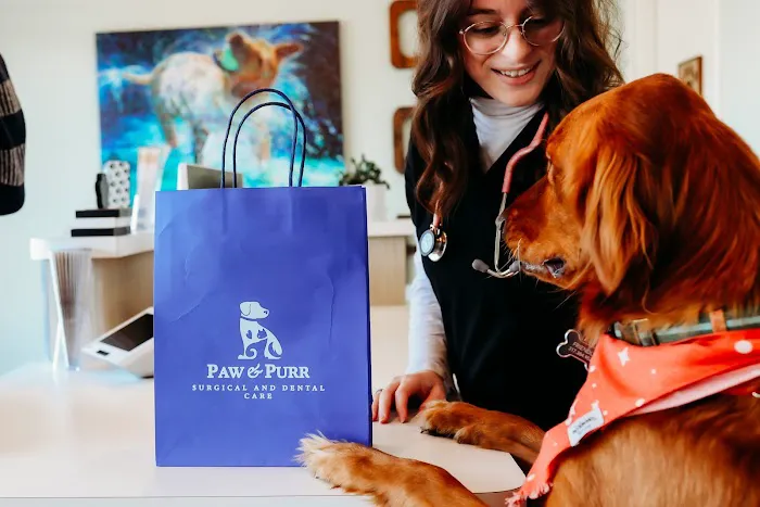 Paw & Purr Surgical and Dental Care Picture 10