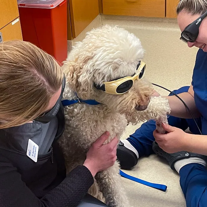 VCA Companion Animal Medical Center Picture 2