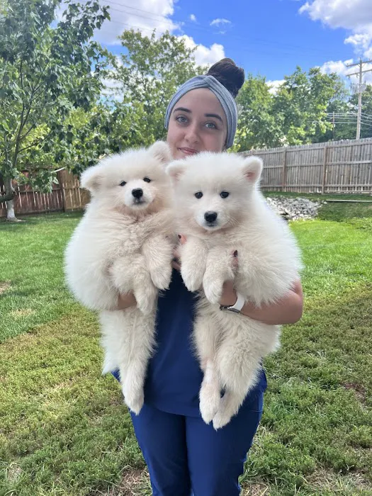 VCA Companion Animal Medical Center Picture 8