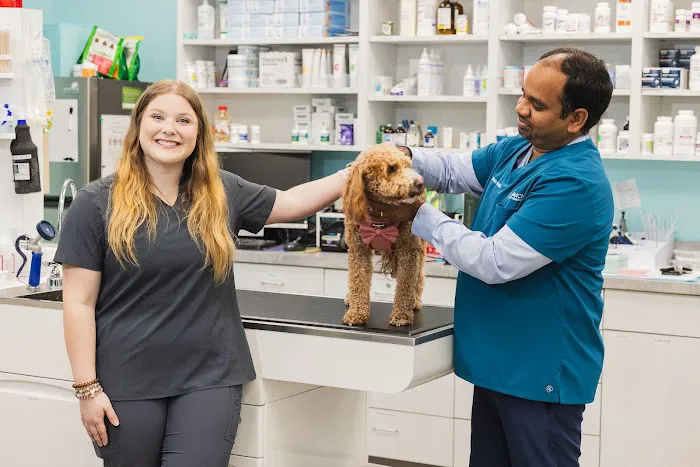VetCheck Pet Urgent Care Center - Carmel Picture 2