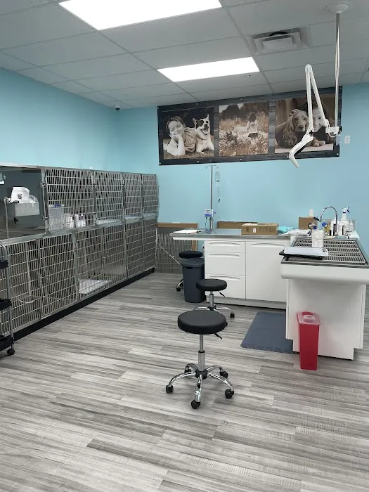 VetCheck Pet Urgent Care Center - Carmel Picture 5