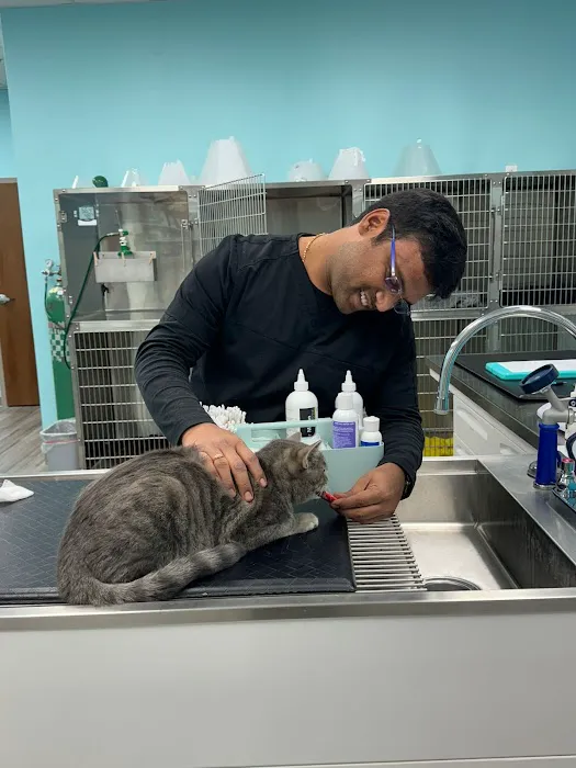 VetCheck Pet Urgent Care Center - Carmel Picture 10